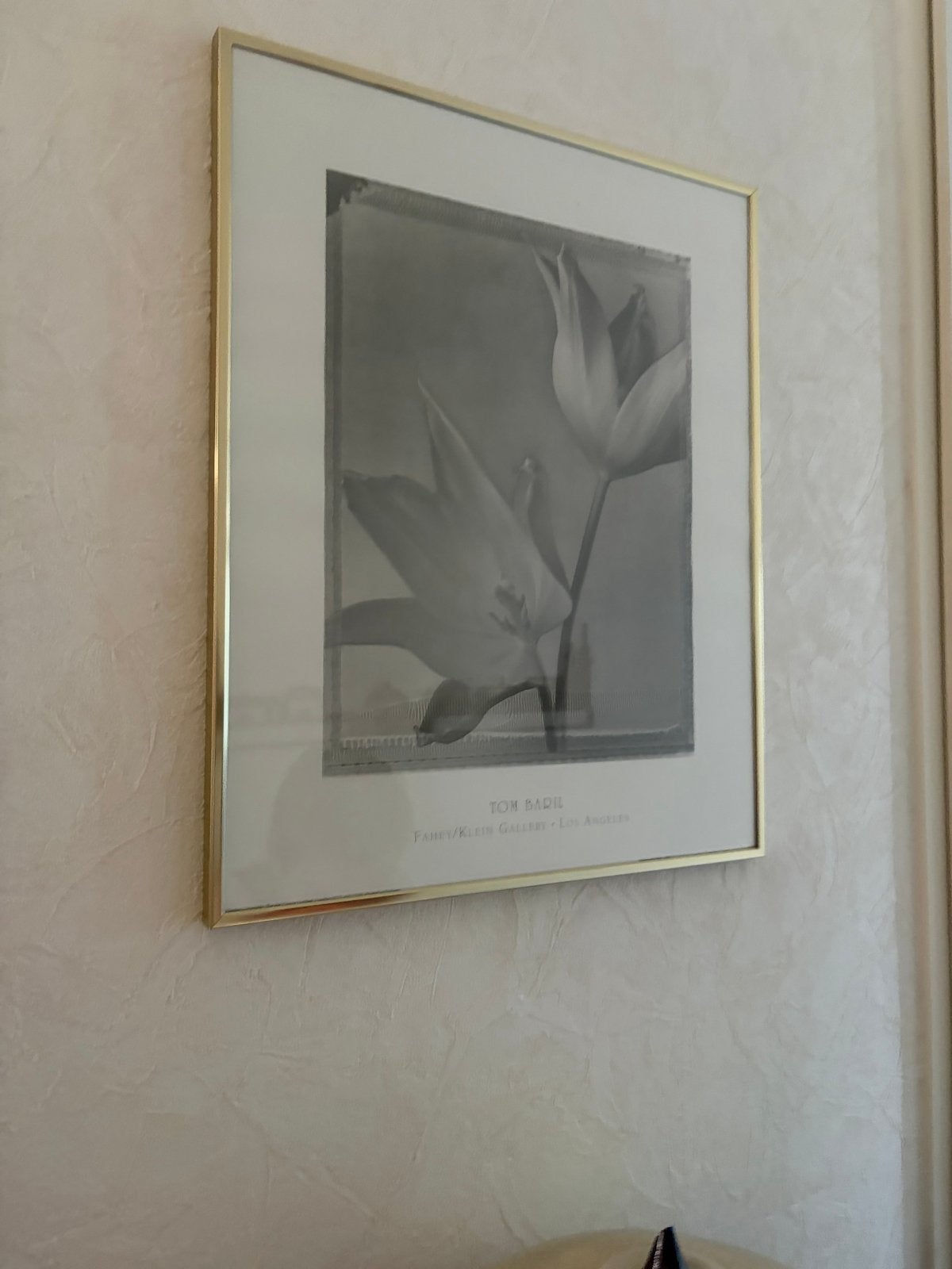 Ingelijste zwart-wit foto van tulpen, Ophalen, Foto, Fotografie, Achter glas