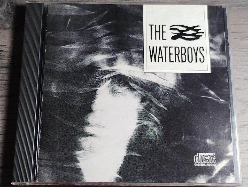 The Waterboys ‎– The Waterboys., Ophalen of Verzenden, Zo goed als nieuw