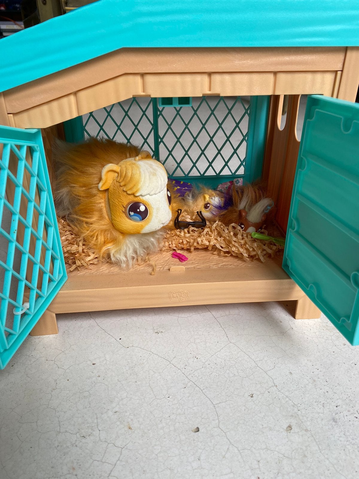 Hamsterhuisje met baby hamsters, Ophalen of Verzenden, Zo goed als nieuw, Jongen of Meisje