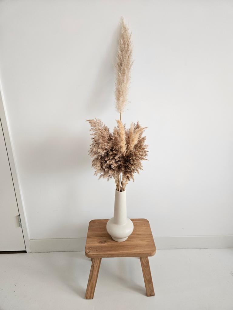 Vaas met pampa's (pluimen), Ophalen, Overige kleuren, Minder dan 50 cm, Glas