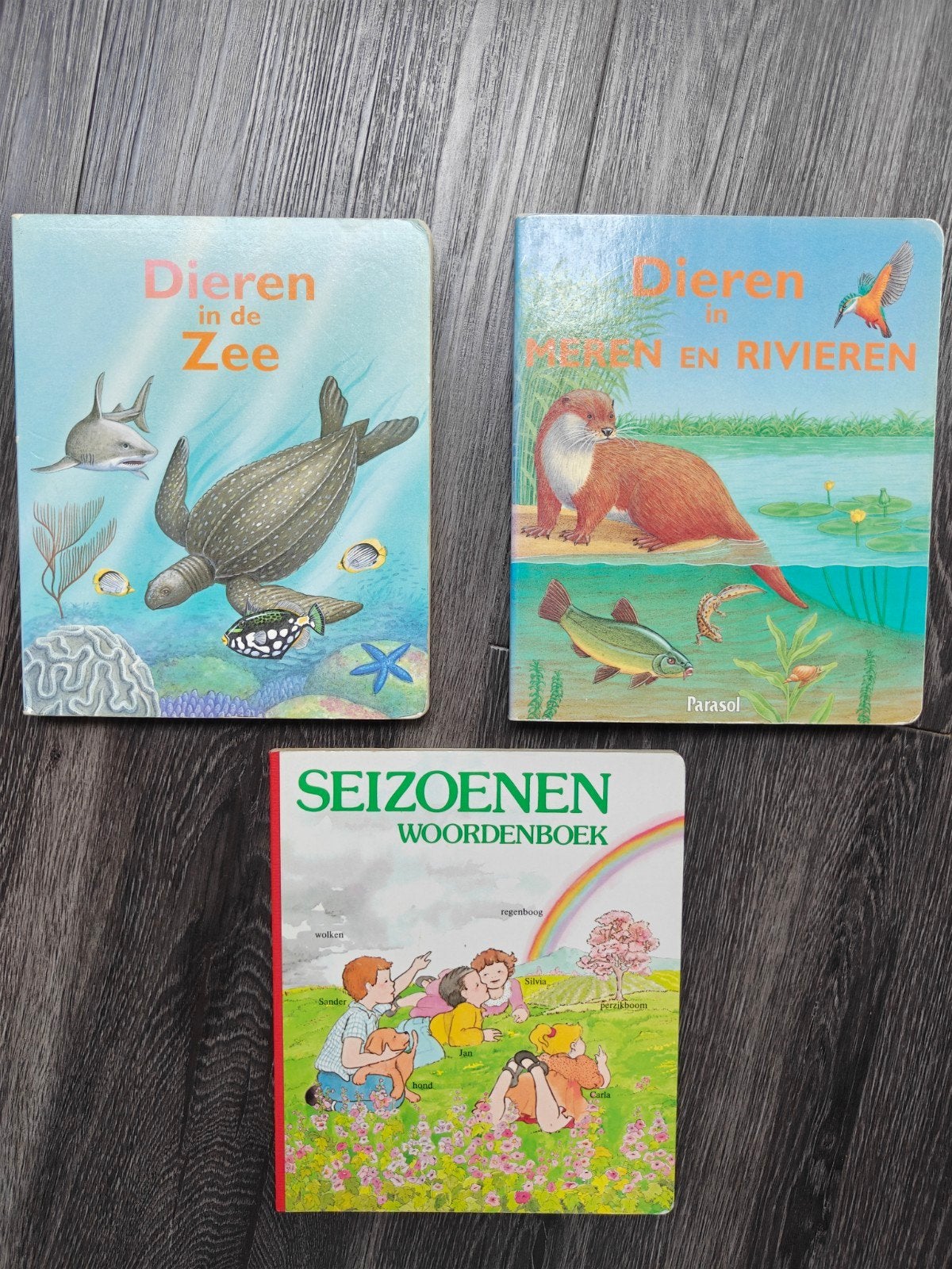 3 kartonboekjes: dieren, seizoenen - Montessori, Ophalen of Verzenden, Gelezen