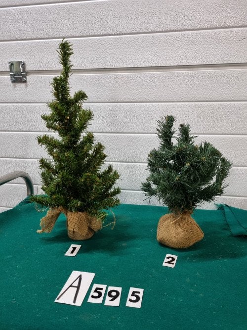 Kerstboompjes met jutte voet ,[a595], Ophalen of Verzenden, 'T Olde Gre-j, Info@toldegrej.nl, Endepoelstraat 20f Didam