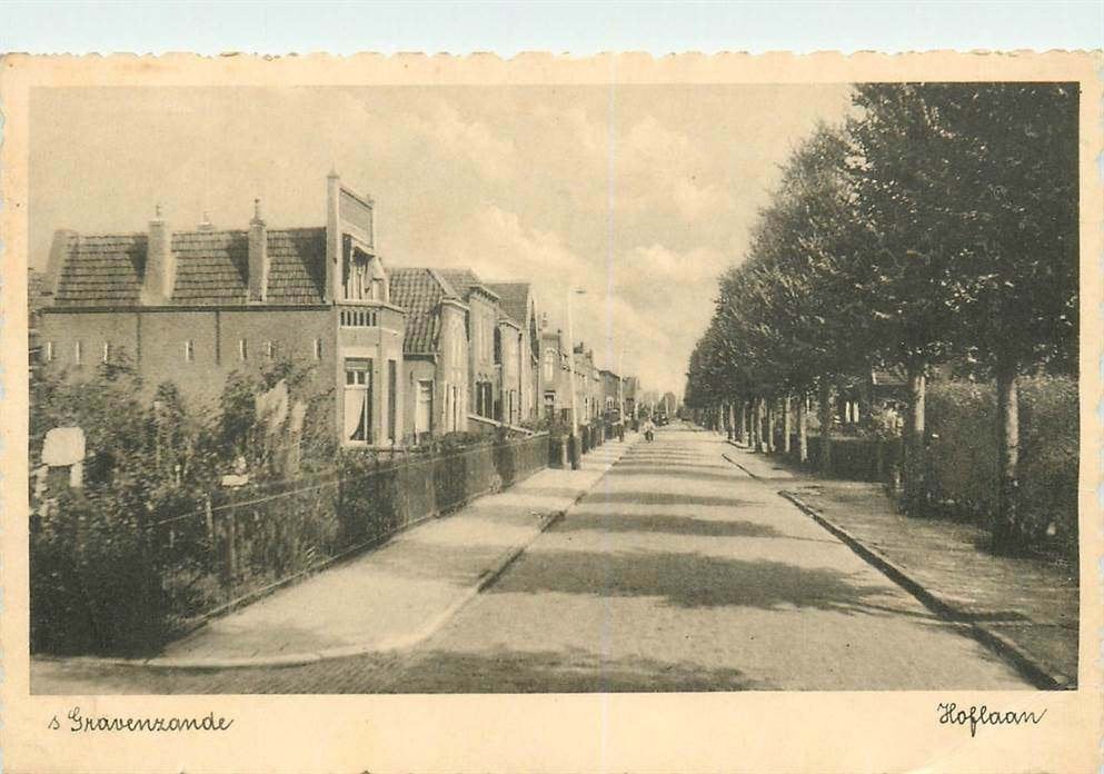 304-016-027 s-Gravenzande Hoflaan, Verzamelen, Verzenden, Voor 1920, Zuid-Holland