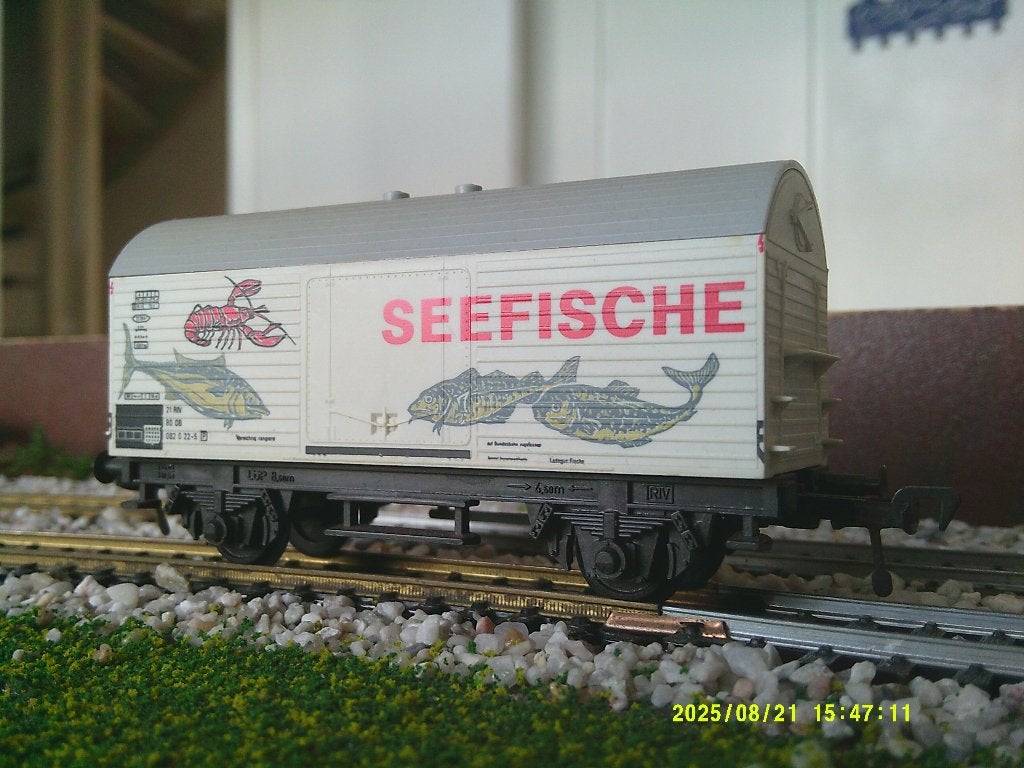 Opruiming, Ophalen, Gebruikt, Gelijkstroom, Fleischmann