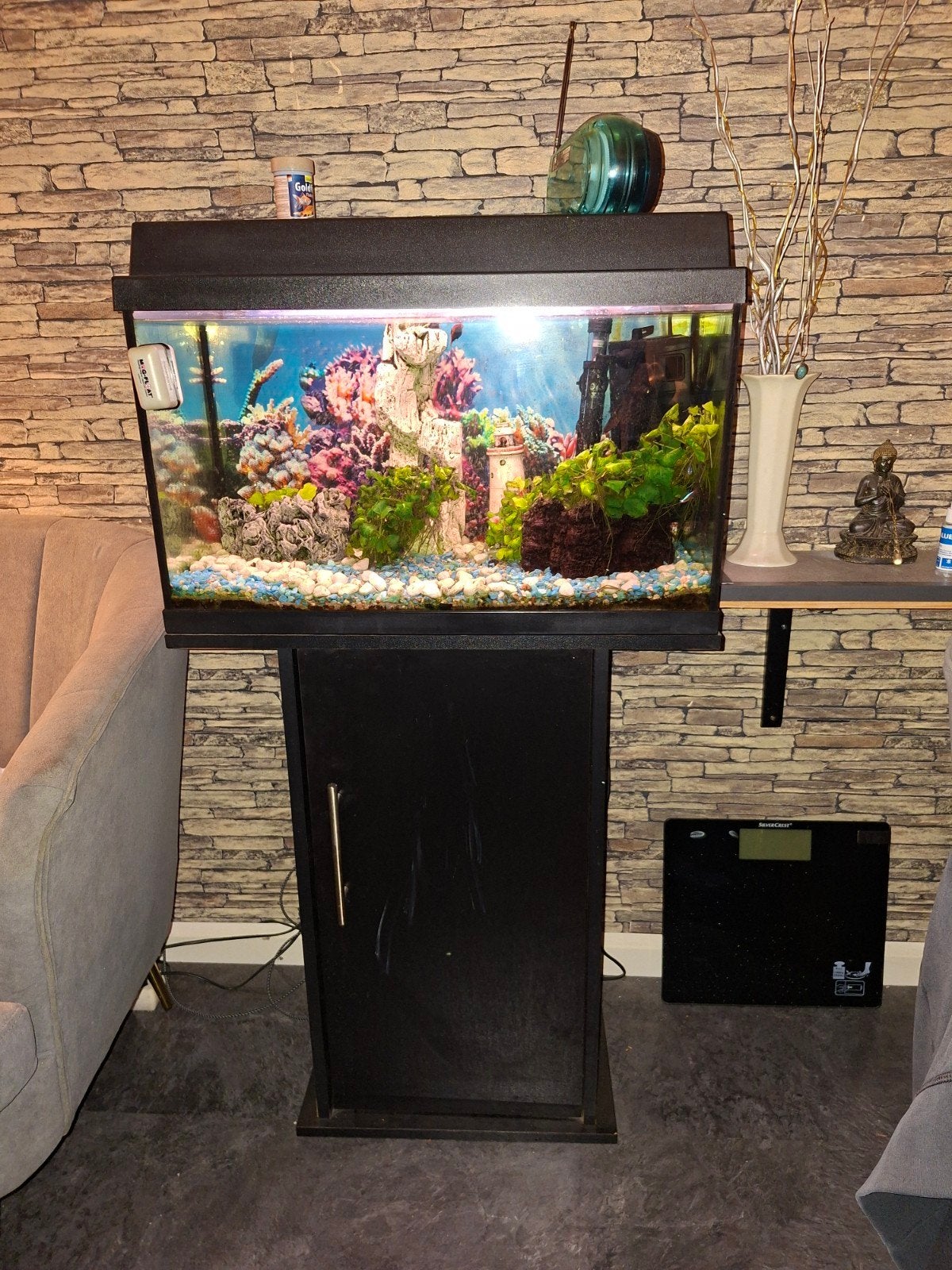 aquarium, Ophalen, Gebruikt, Leeg aquarium