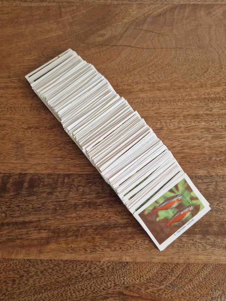 Rizla Zo leer je vissen kennen plaatjes, Ophalen of Verzenden, Zo goed als nieuw, Meerdere stickers
