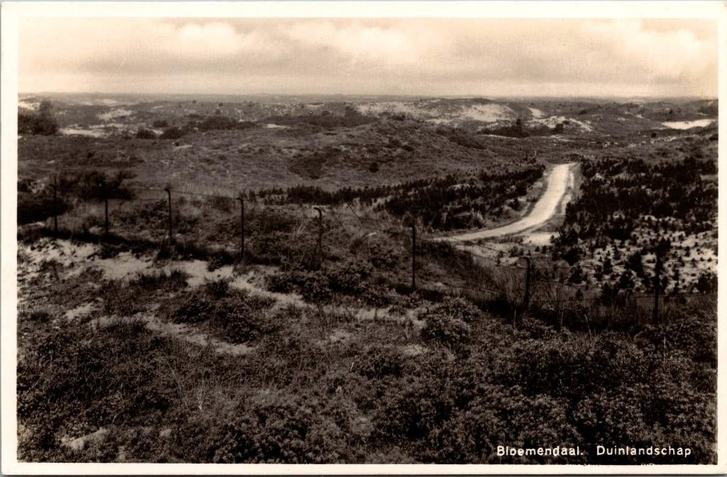 Duinlandschap - Bloemendaal (1934), Verzenden, 1920 tot 1940, Gelopen, Noord-Holland