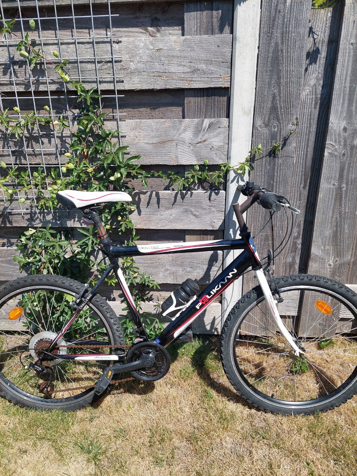 Pelikaan mountainbike, Ophalen, Gebruikt, Overige merken