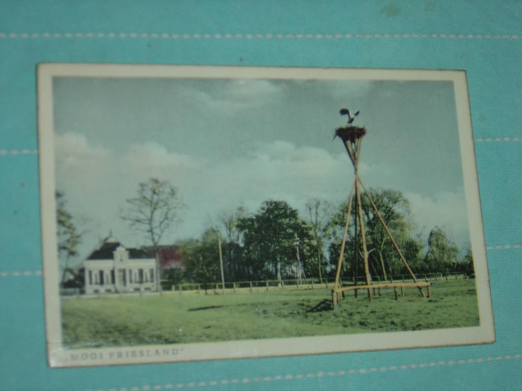 1) Kleuren ansichtkaart Friesland, Ophalen of Verzenden, 1940 tot 1960, Gelopen, Friesland