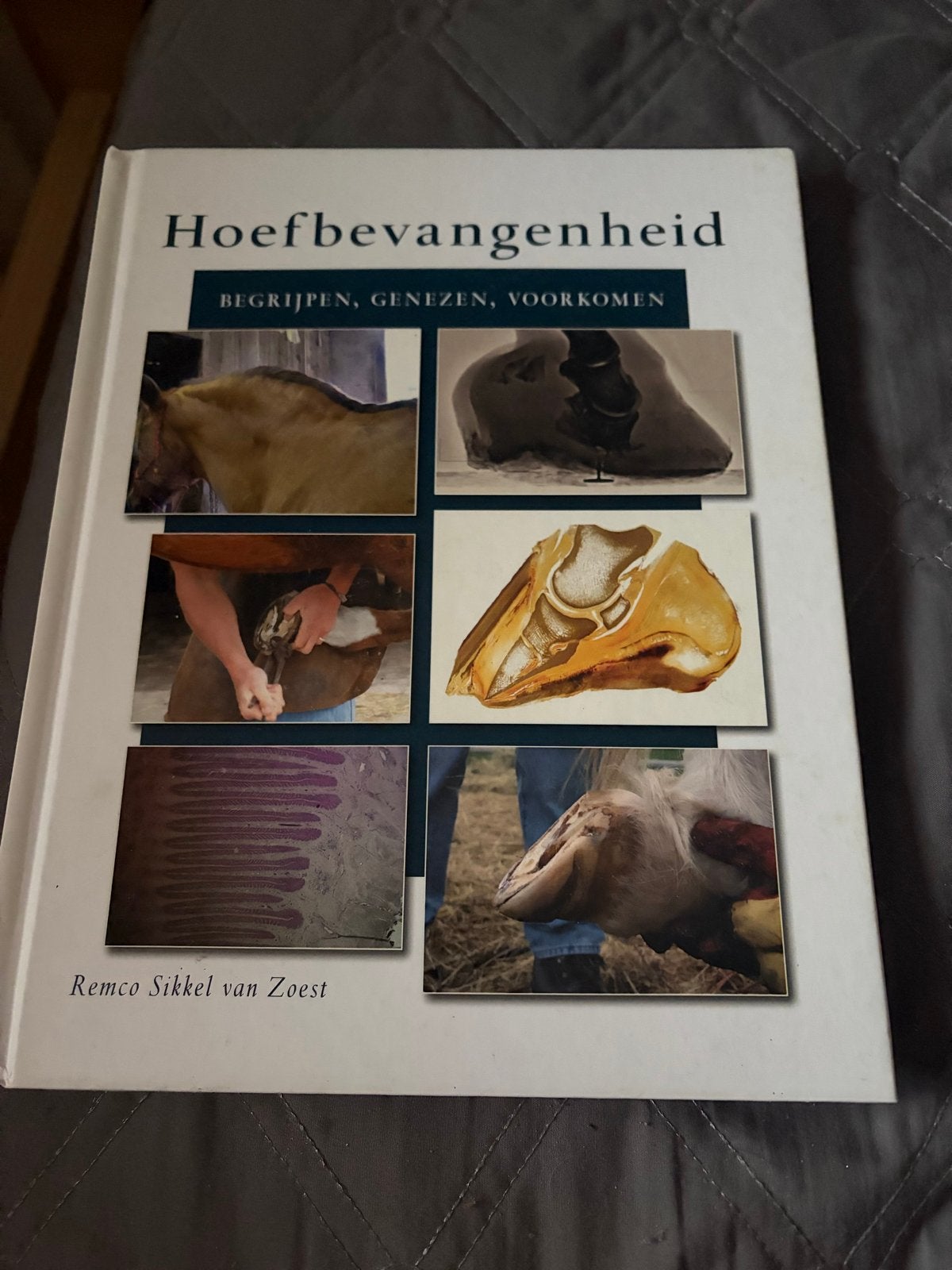 Remco Sikkel van Zoest - Hoefbevangenheid, Ophalen of Verzenden, Zo goed als nieuw, Remco Sikkel van Zoest, Natuurwetenschap