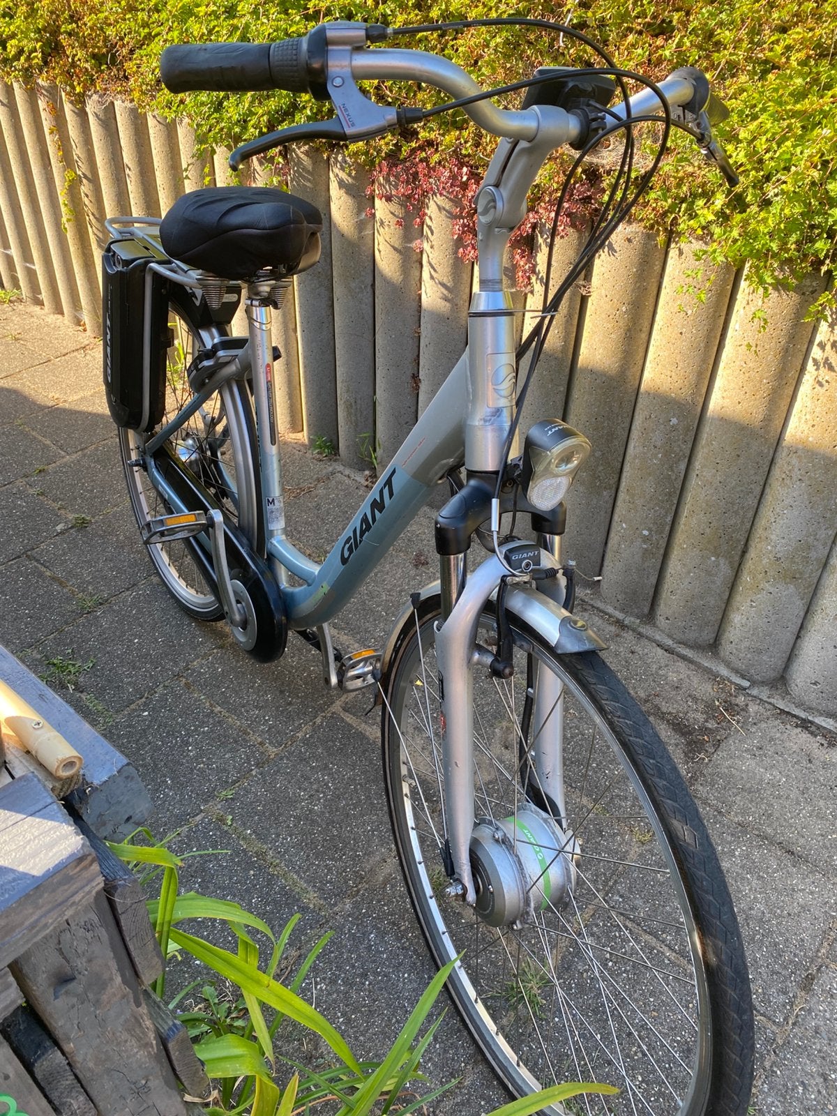 Giant Twist e bike., Ophalen, Gebruikt, Overige merken
