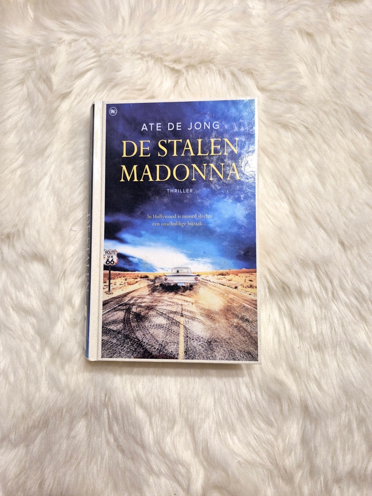 De Stalen Madonna - Ate de Jong (Thriller), Ophalen of Verzenden, Zo goed als nieuw, Ate de Jong, Nederland