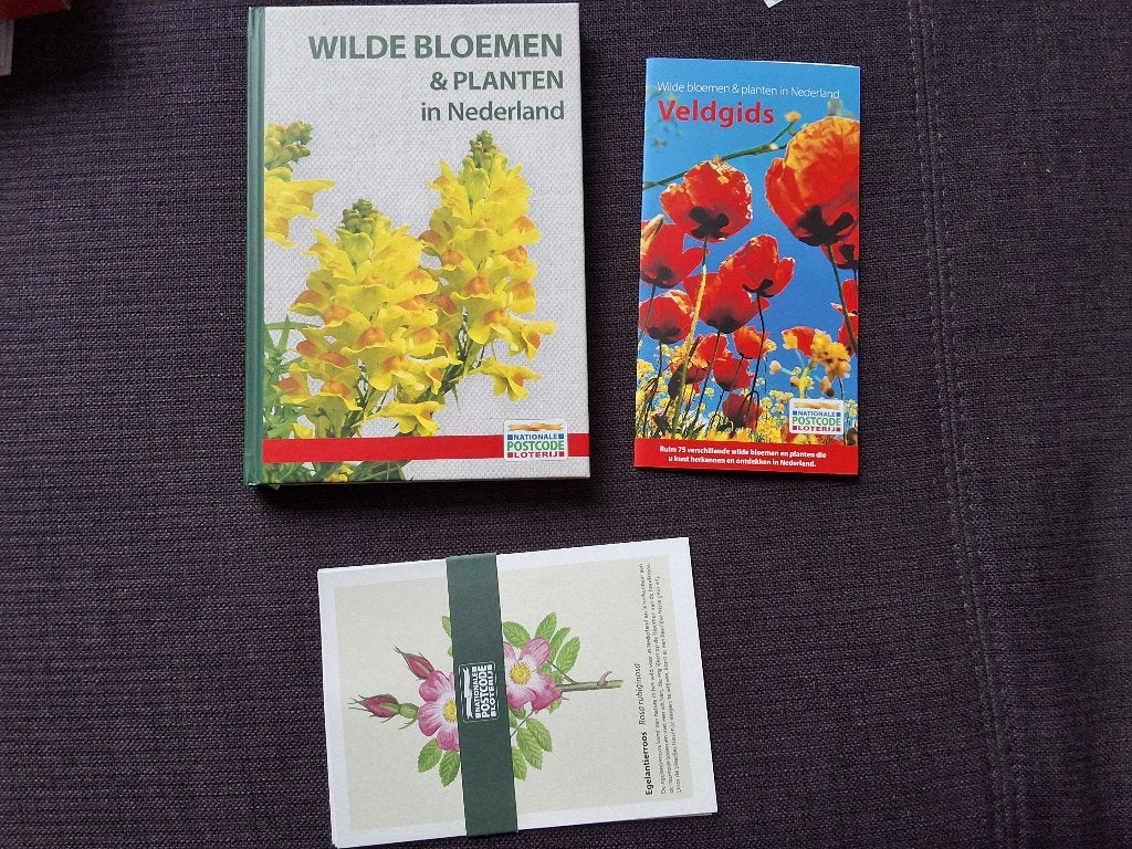 Boek wilde bloemen + kaarten en flyer, Boeken, Ophalen of Verzenden, Nieuw, Bloemen, Planten en Bomen