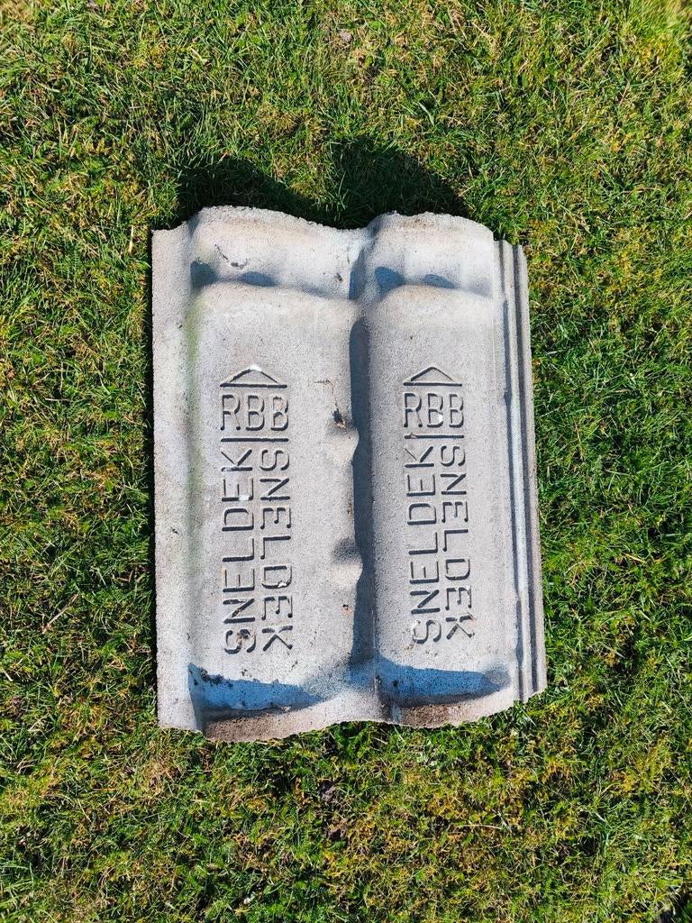 50 RBB Sneldek dakpannen goede staat TEAB, Doe-het-zelf en Verbouw, Dakpannen en Dakbedekking, Gebruikt, Dakpannen, Steen of Klei