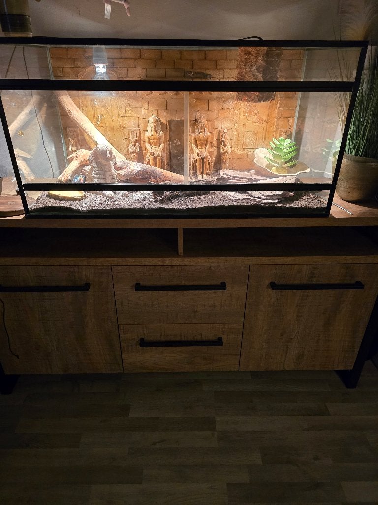 kooi met 2 luipaard gekko,s, Ophalen, Gebruikt, Metaal, Overige typen