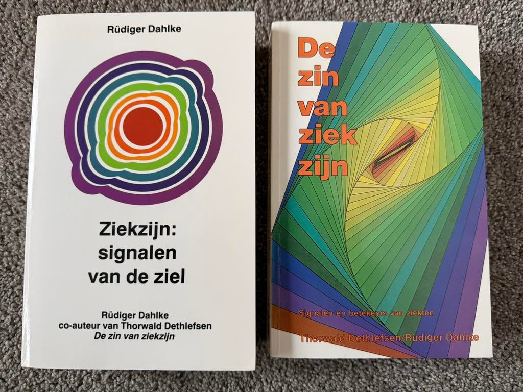Ziekzijn: Signalen van de ziel / De zin van ziekzijn, Verzenden, Zo goed als nieuw