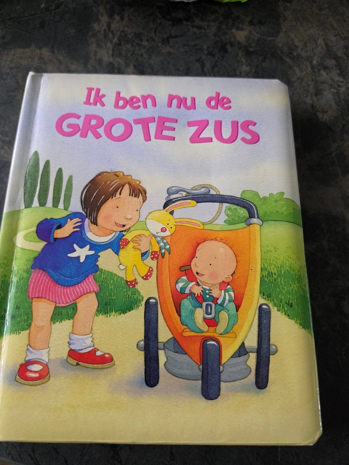 Ik ben nu de GROTE ZUS - Prentenboek, Ophalen of Verzenden, Zo goed als nieuw, Ronne Randall, 2 tot 3 jaar