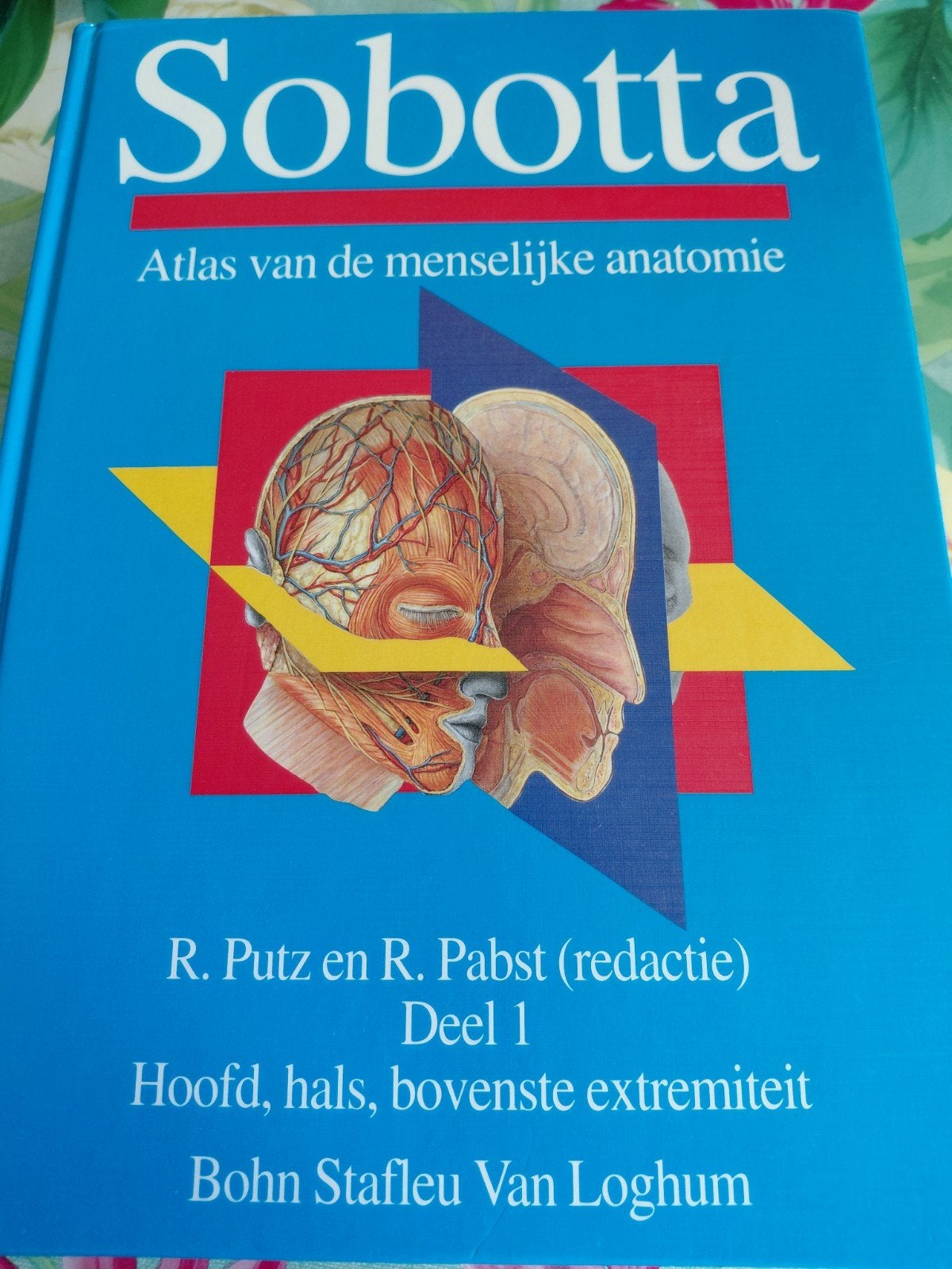 Sobotta Anatomie Deel 1 - Hoofd, Hals, Bovenste Extremi, Ophalen of Verzenden, Gelezen, R. Putz en R. Pabst, Natuurwetenschap