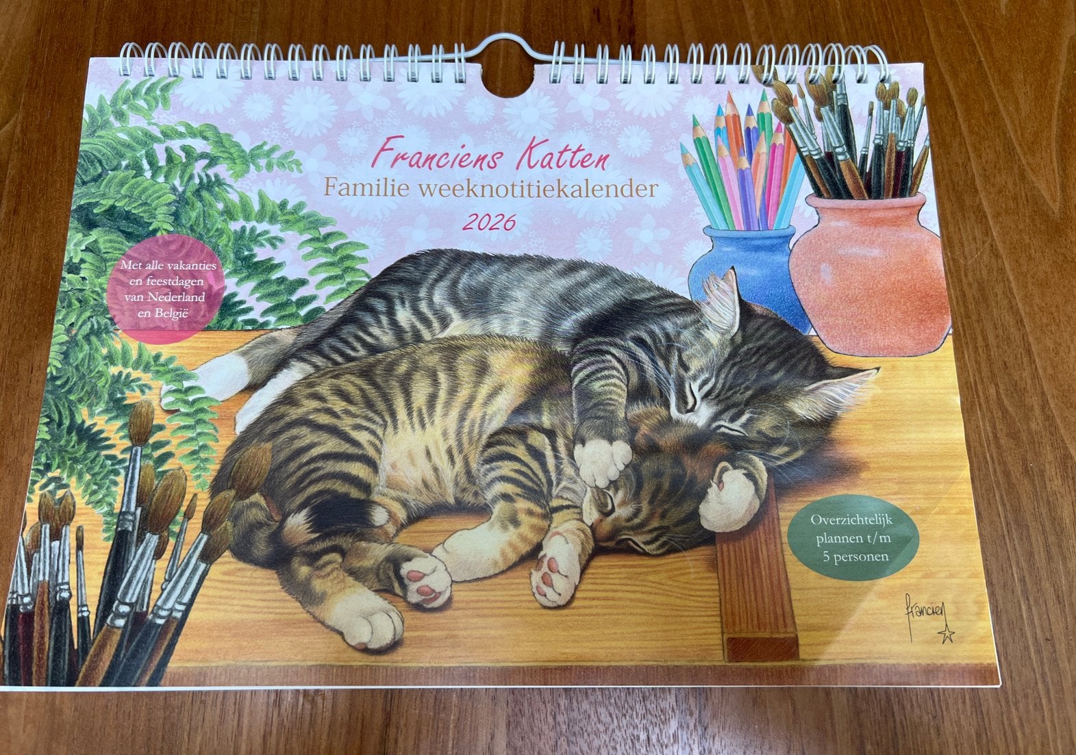 Familie kalender /planner 2026, Ophalen of Verzenden, Weekkalender, Nieuw