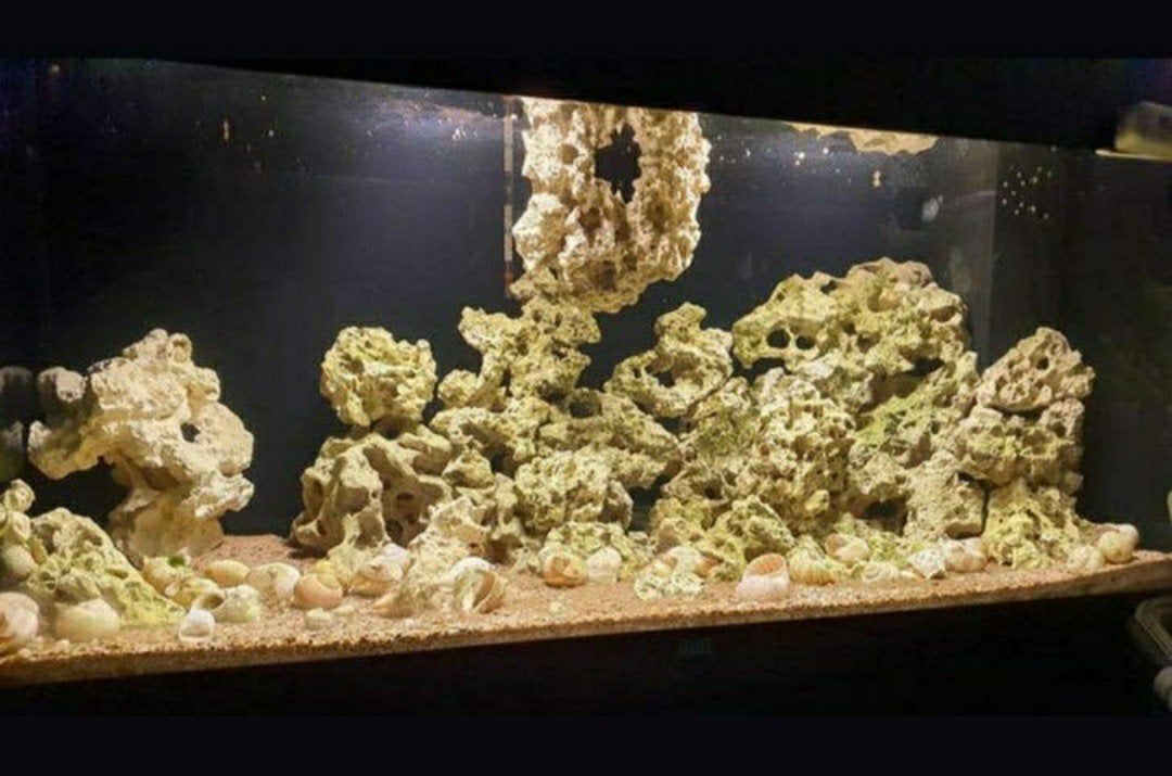 Juwel Rio 180. 2 stuks. Kaal of inclusief inrichting., Dieren en Toebehoren, Vissen | Aquaria en Toebehoren, Ophalen, Leeg aquarium