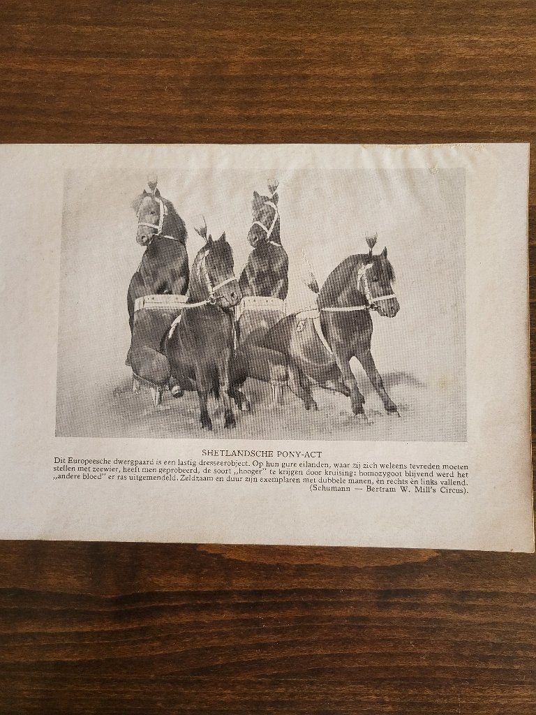 Circus Sarrasani o.a. - Historische Circusafbeeldingen, Verzamelen, Ophalen of Verzenden, Gebruikt