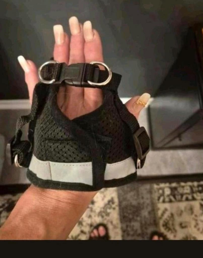 Halster voor kat of hond, Ophalen of Verzenden