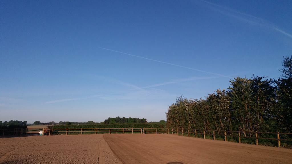 Foto 4 van Inzaaien gras, egaliseren tuin, frezen, gras zaaien