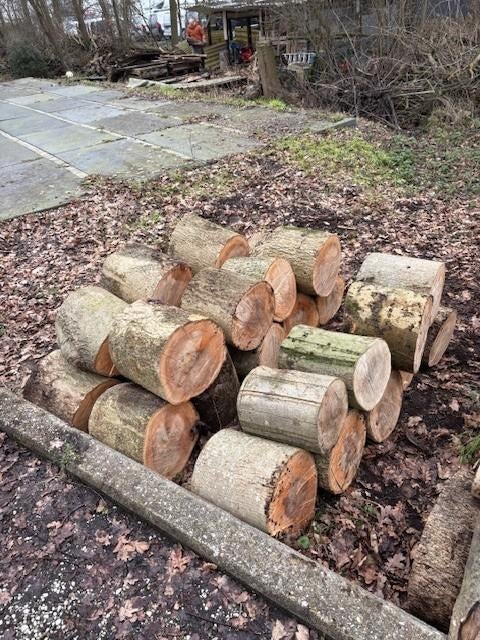 Essenhout, haardhout, brandhout, kachelhout, 6 m³ of meer, Ophalen, Essenhout, Stammen