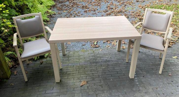 ZorgMeubel Tafel en 2 Stoelen - Senioren/Rolstoelvriendelijk, Ophalen, Zo goed als nieuw