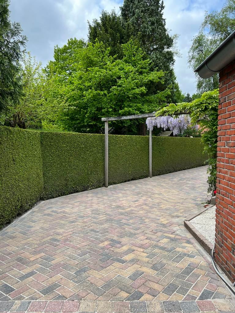 Bestrating reinigen – schoon & onkruidarm resultaat, Garantie, Tuinontwerp