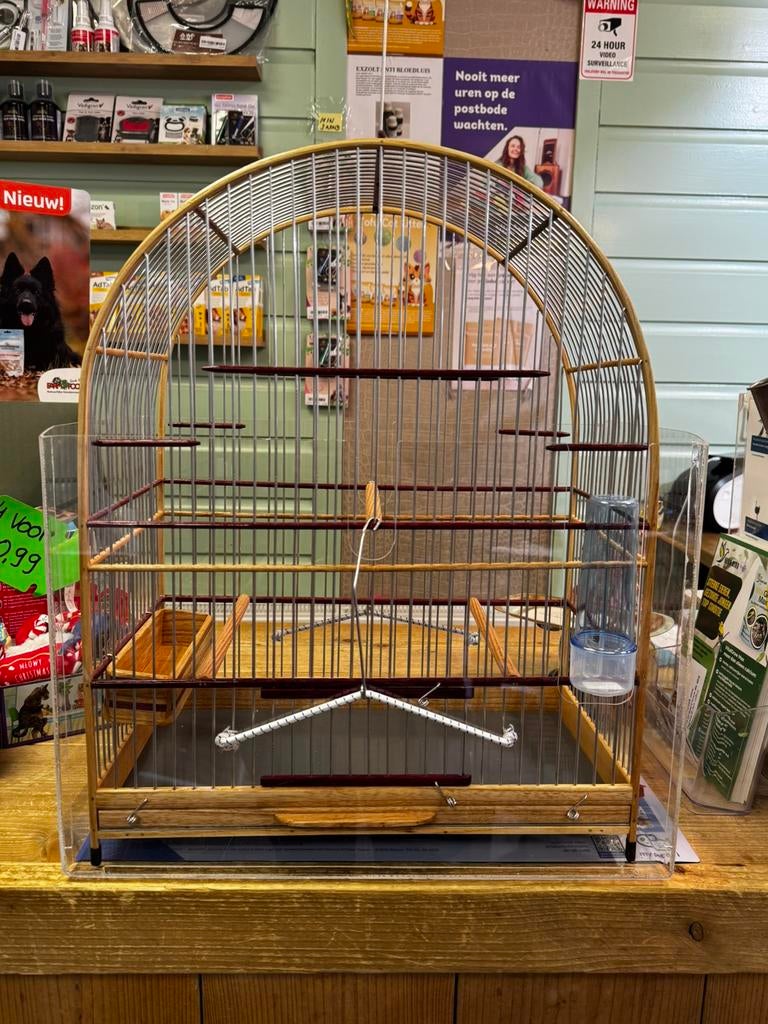 Te Koop Diverse Surinaamse Kooien, Dieren en Toebehoren, Vogels | Overige Vogels, Meerdere dieren, Wildzangvogel