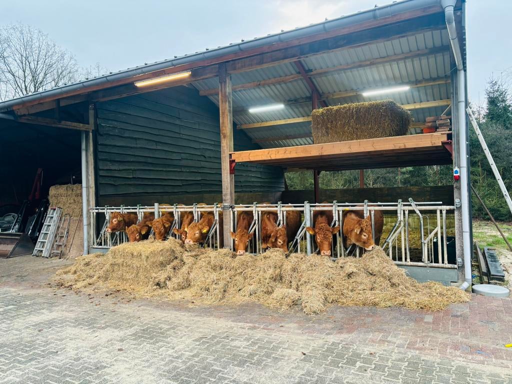 Gezocht: kapschuur/openfrontstal spanten & constructie, Stalling