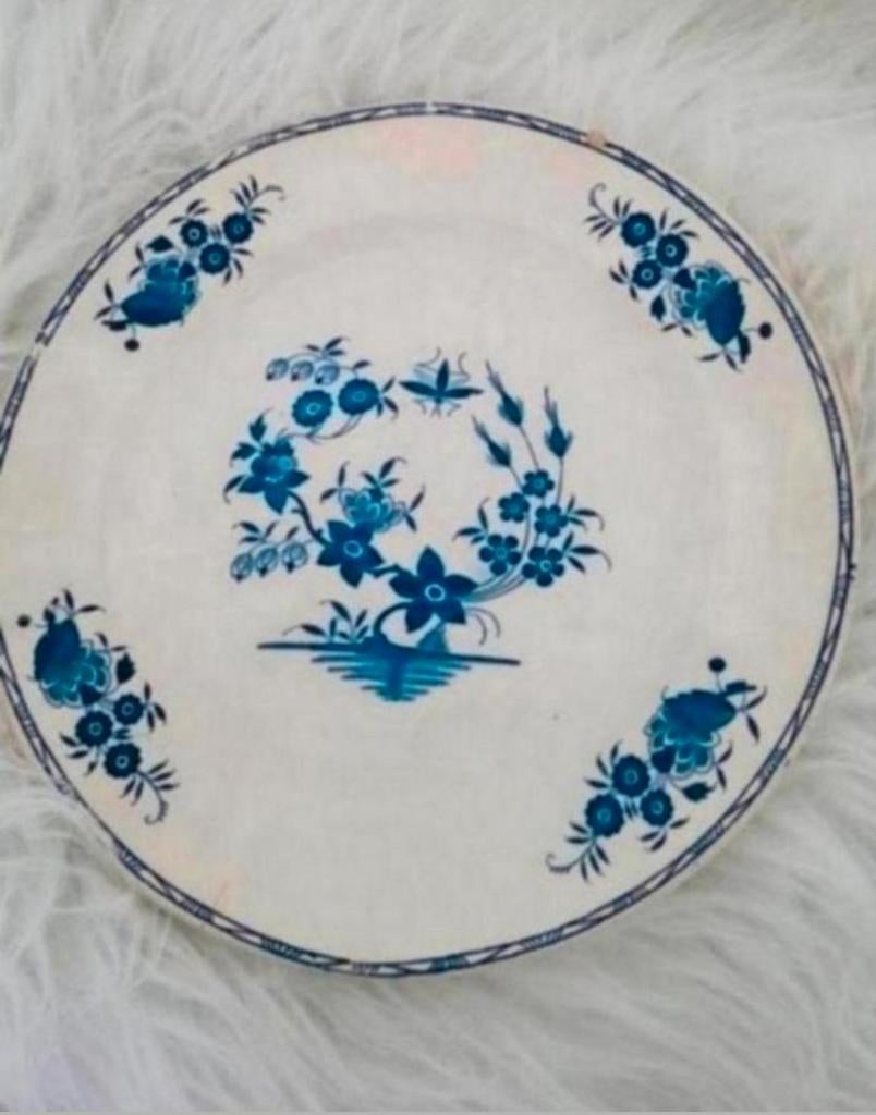 Oud Villeroy & Boch bord uniek degelijk vintage design, Gebruikt, Ophalen of Verzenden, Bord(en), Overige stijlen