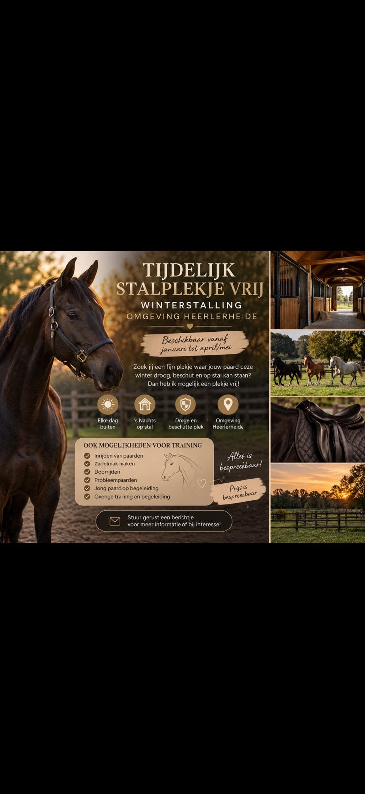 TIJDELIJK STALPLEKJE WINTERSTALLING OMGEVING HEERLEN, Dieren en Toebehoren, Springpaard, Niet van toepassing, 3 tot 6 jaar, Meerdere dieren