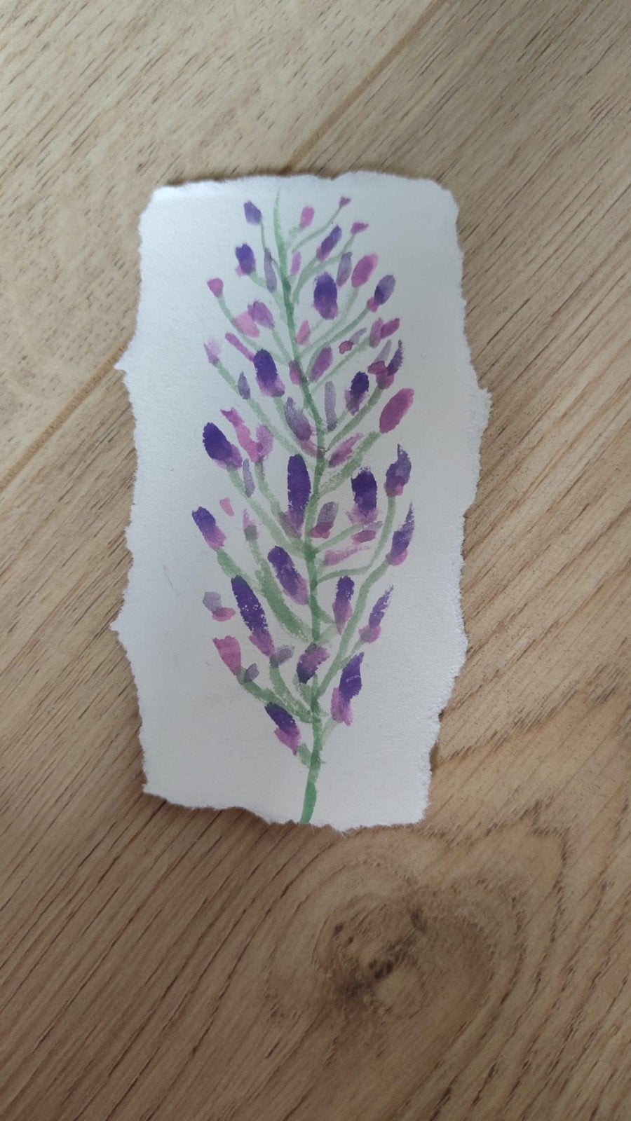 Aquarel lavendel, Bloemen, Ophalen of Verzenden, Handgeschilderd, Papier