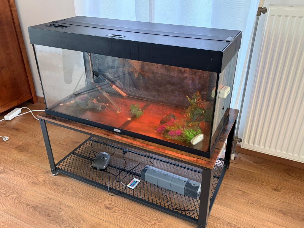 Aquarium 200L 100x50x40, Dieren en Toebehoren, Ophalen, Gebruikt, Inclusief deksel, Leeg aquarium