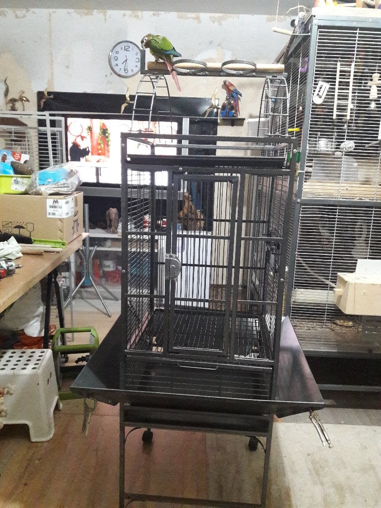 vogel kooi voor Pyrrhura vogel, Dieren en Toebehoren, Ophalen, Zo goed als nieuw, Metaal, Vogelkooi