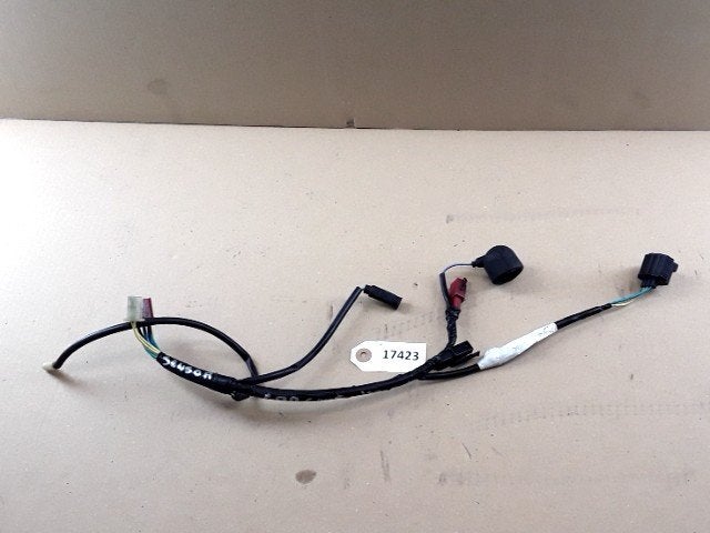 CBR600F 1999 - 2000 Honda Kabelboom D1-30659