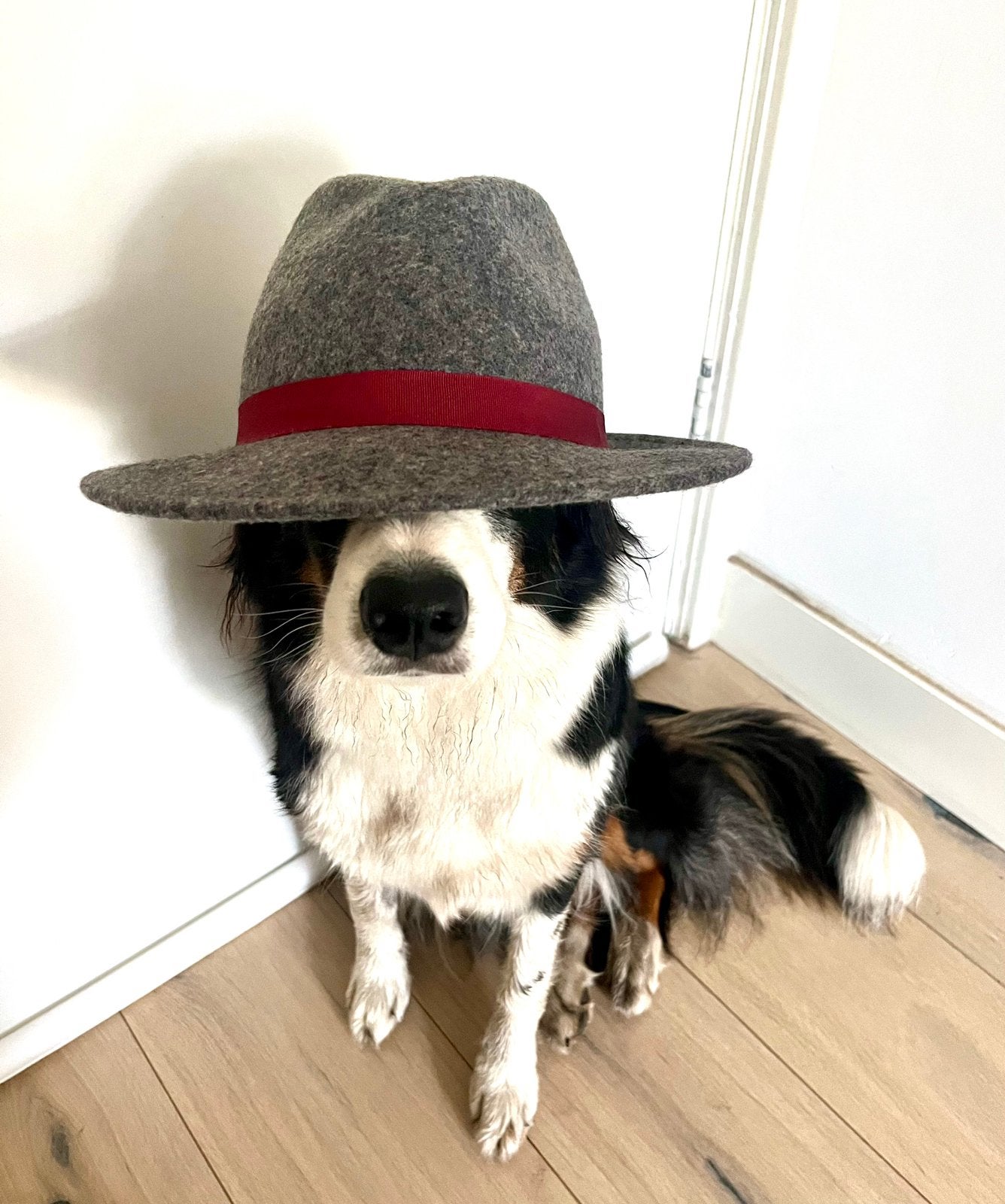 Diverse dames hoedjes wol (zonder hond), Ophalen of Verzenden, Zo goed als nieuw, 57 cm (M, 7⅛ inch) of minder, Hoed