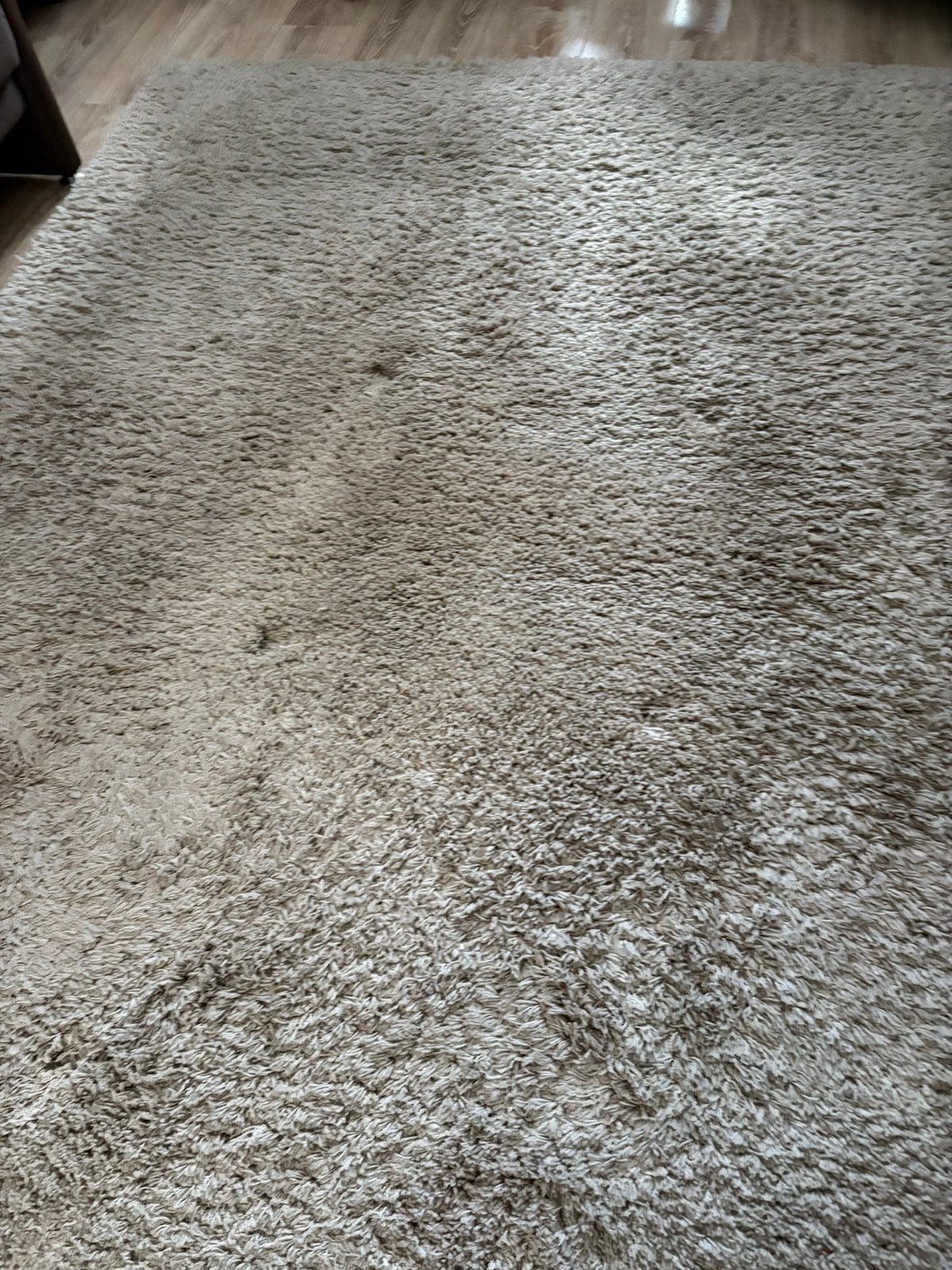 Hoog polig tapijt, Ophalen, Gebruikt, Beige, 200 cm of meer