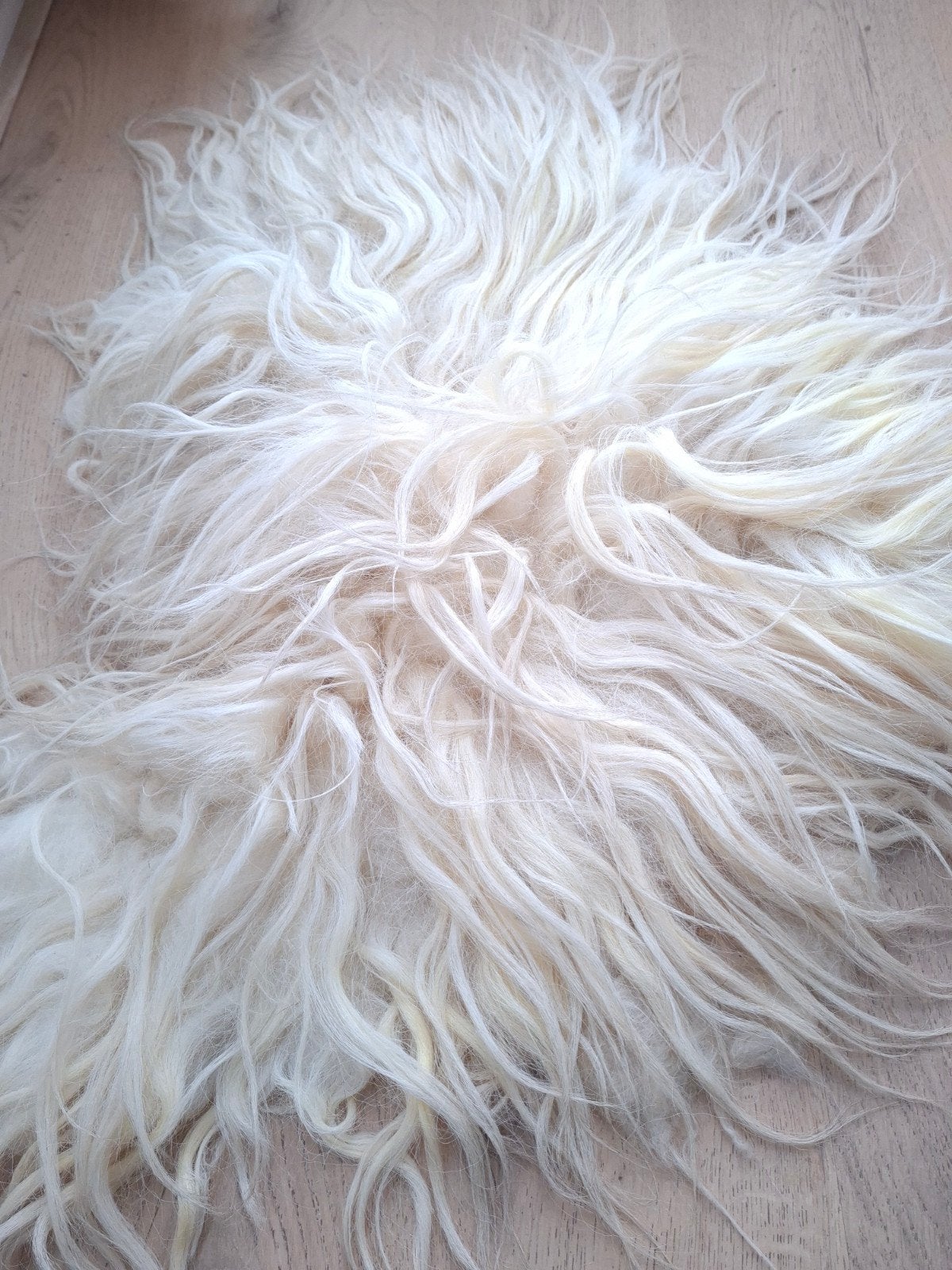 Schapenvacht Drents Heideschaap eco + Merinowol, 50 tot 100 cm, Nieuw, Overige vormen, 50 tot 100 cm