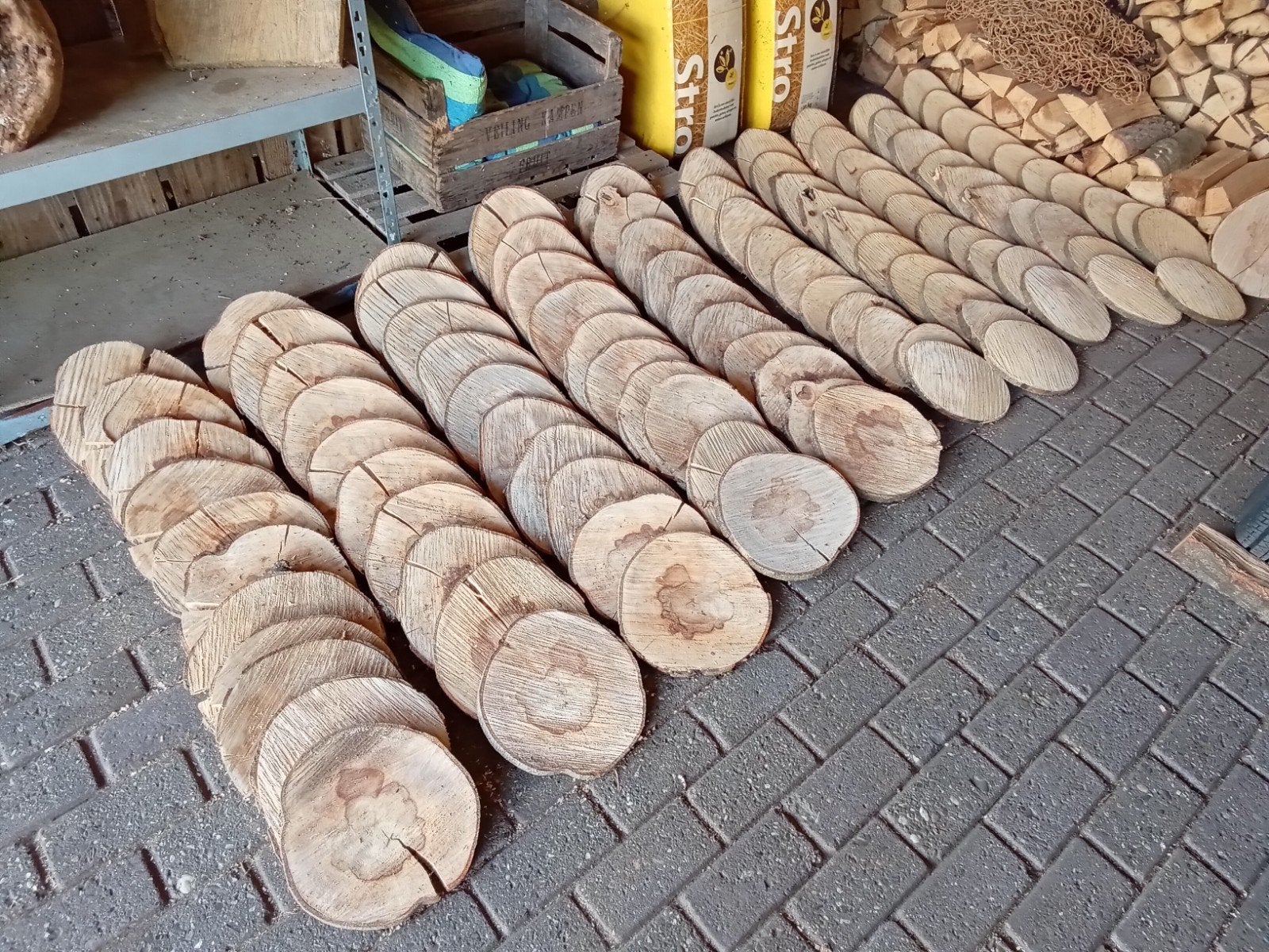 Prachtige boomschijven, 100 stuks, beuken & essen hout, Ophalen, Minder dan 25 mm, Nieuw, Plank