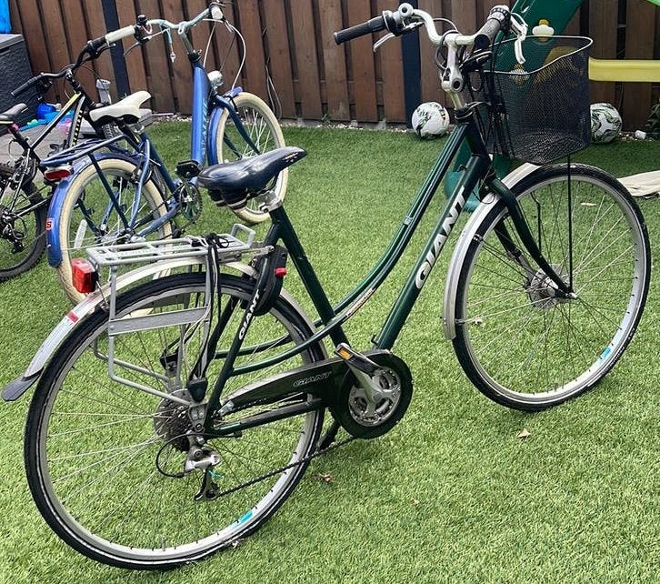 Giant freerider damesfiets, Fietsen en Brommers, Fietsen | Dames | Moederfietsen, Ophalen, Gebruikt, Giant, Mandje