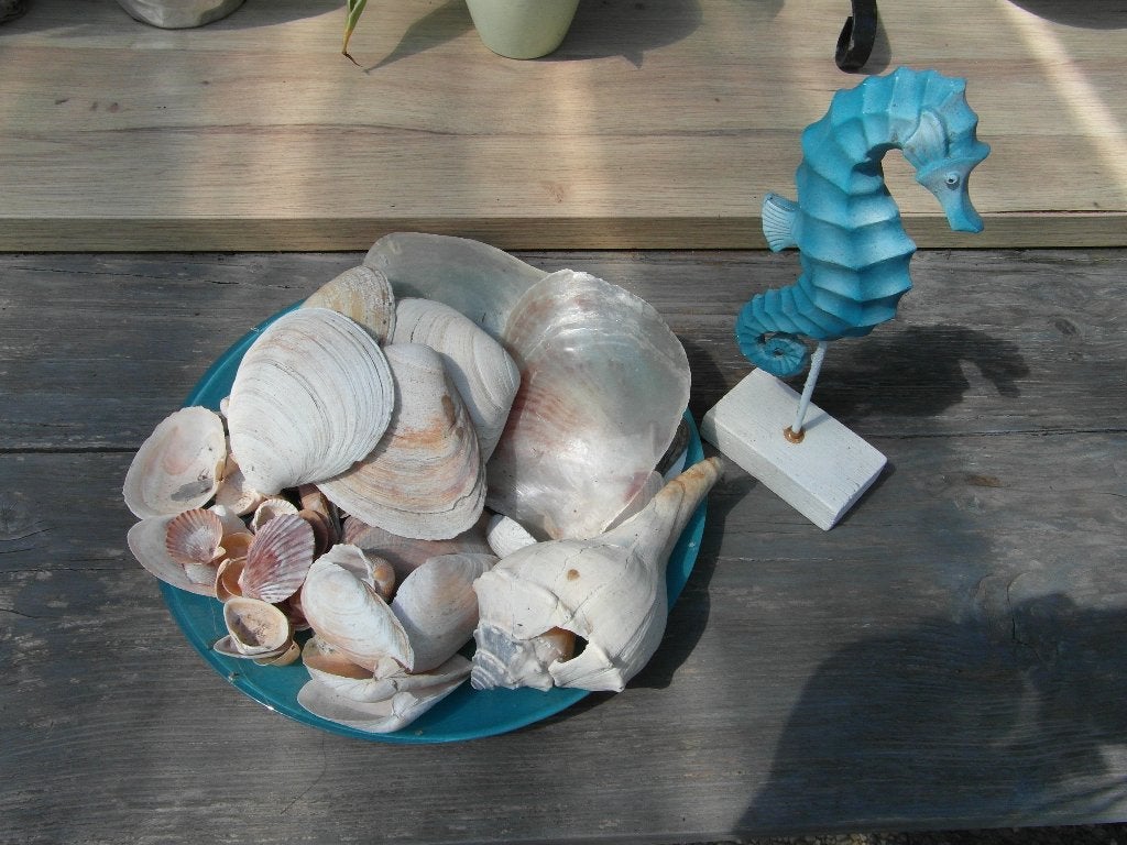 aqua blauw glazen schaal 28 cm  met byzonder mooie schelpen, Schaal, Rond, Ophalen of Verzenden, Glas