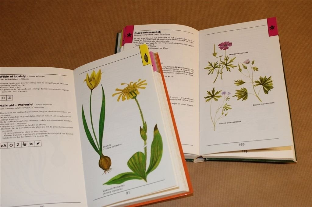 2 Delen Zakflora — Eenvoudig Kennen en Herkennen, Ophalen of Verzenden, Gelezen