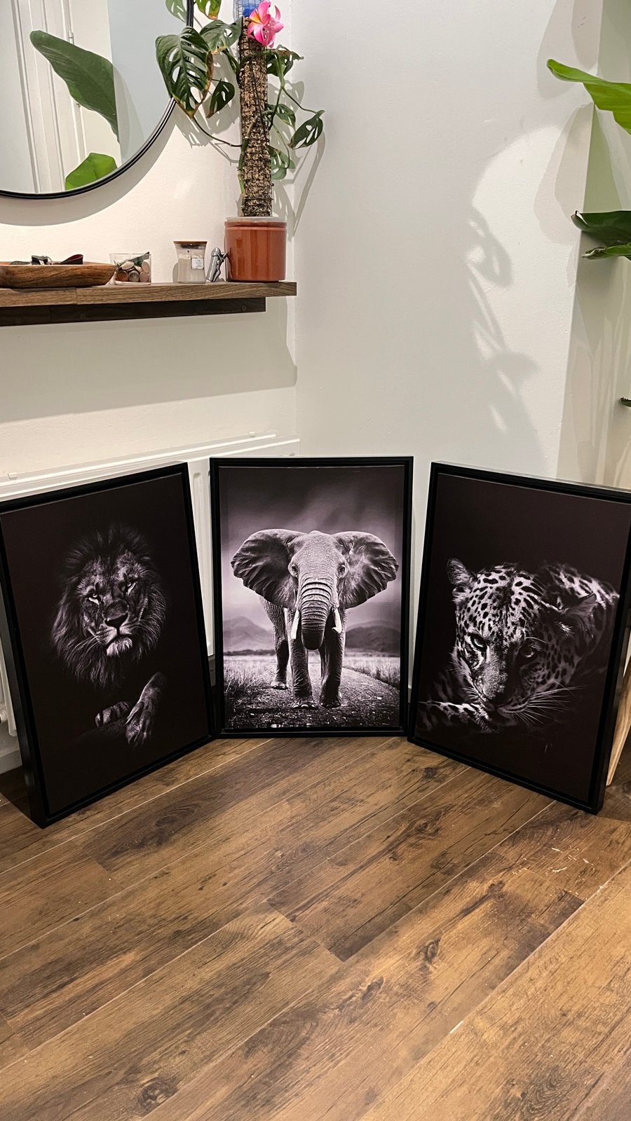Set van 3: Leeuw, Olifant, Luipaard Canvas Schilderijen, Ophalen, Zo goed als nieuw, Schilderij, 75 – 100