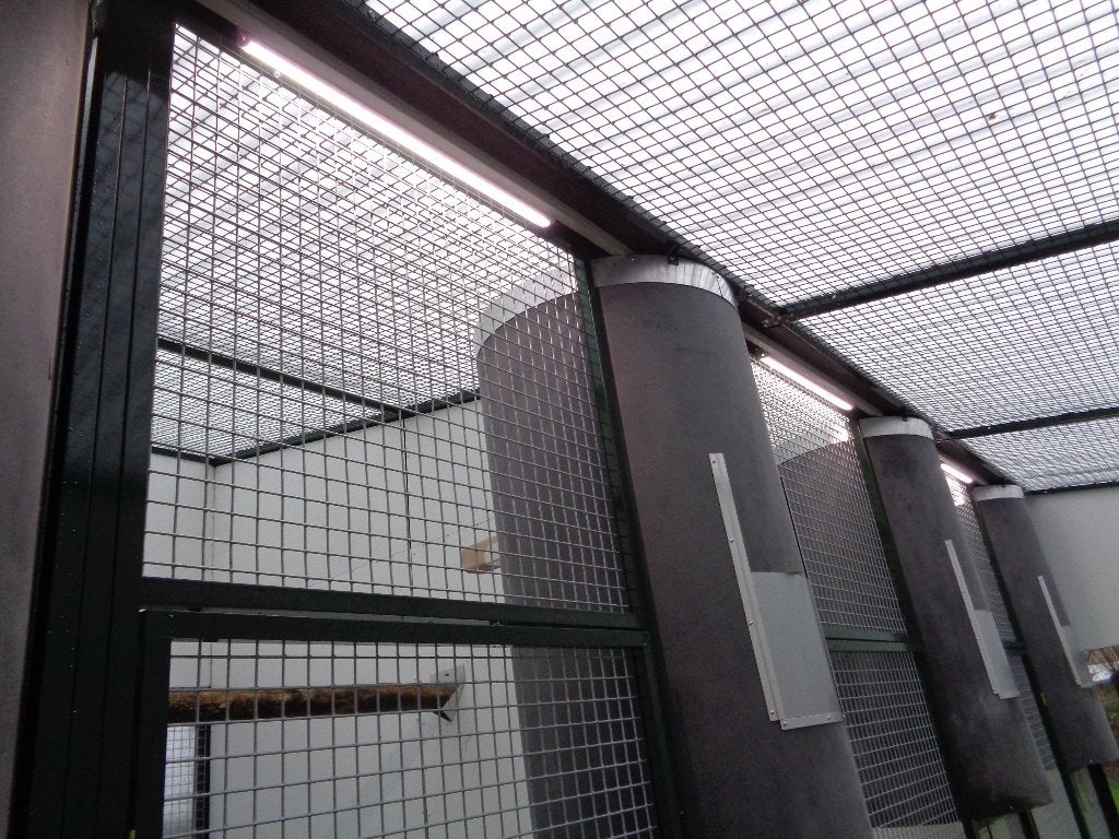 Parkieten en papegaaien huisvesten met Avicultuur-LED, Dieren en Toebehoren, Vogels | Parkieten en Papegaaien, Meerdere dieren