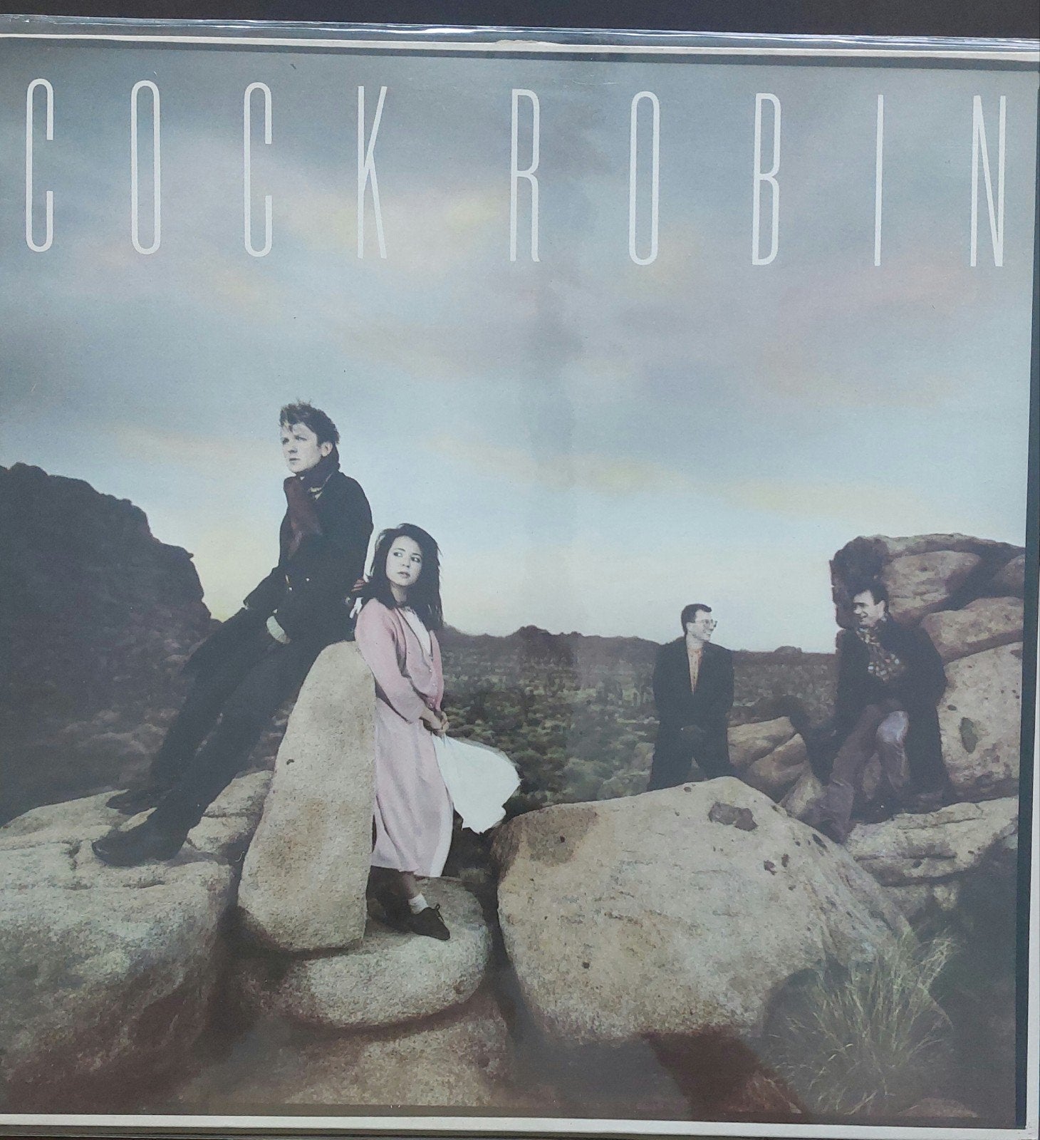 LP Cock Robin - Cock Robin (goede kwaliteit), Cd's en Dvd's, Vinyl | Pop, LP, Gebruikt, Ophalen of Verzenden, 12 inch
