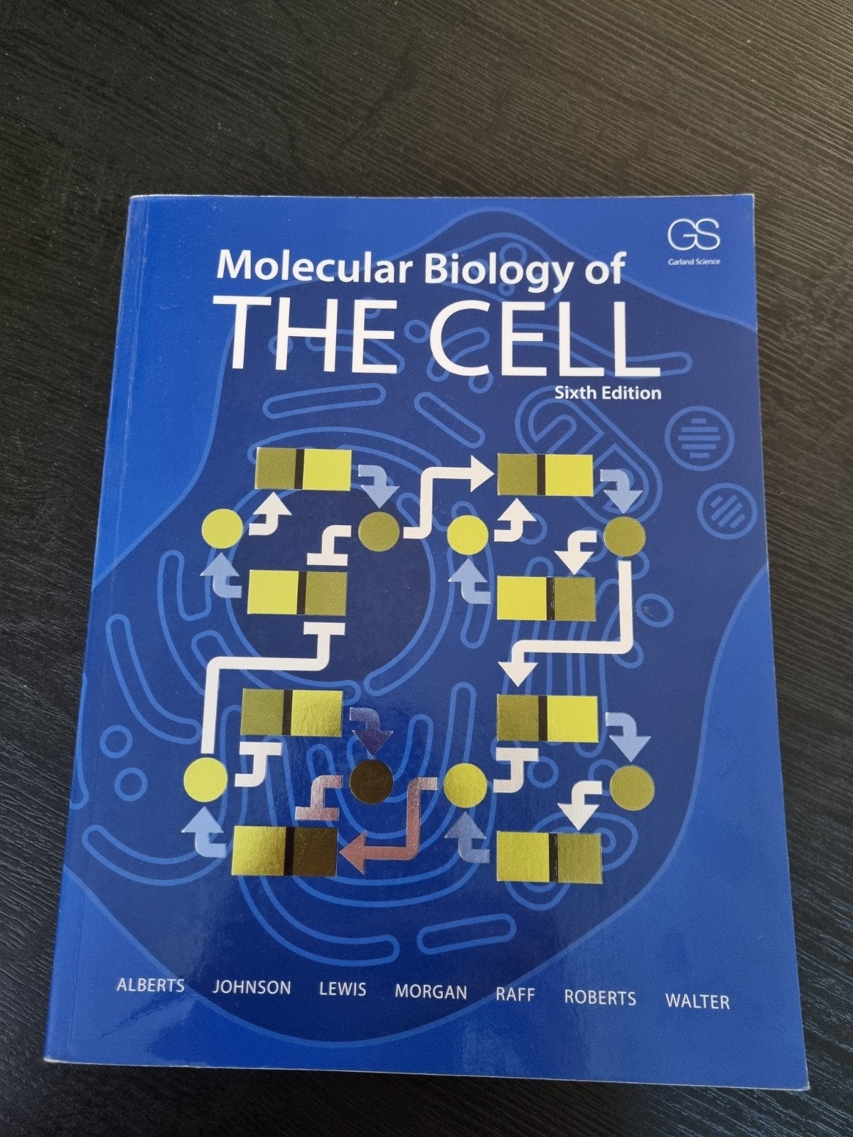 Molecular Biology of THE CELL - Zesde Editie, Gelezen, Alberts, Johnson, Lewis, Morgan, Raff, Roberts, Walter, Verzenden, HBO