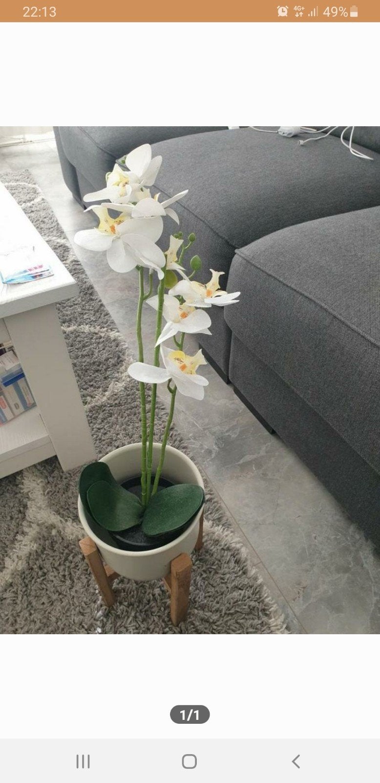 Bloempot met bloem, Ophalen, Rond, Aardewerk, Minder dan 40 cm